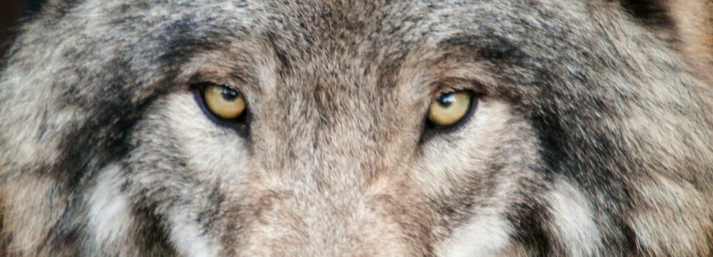 El error que está bloqueando el crecimiento de tu negocio online